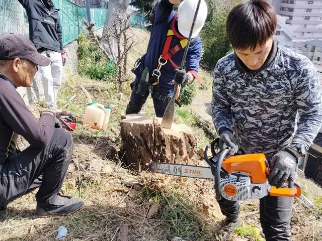 プロの職人が低木から超高木まで幅広く対応！高所作業車やツリークライミングも駆使！サービスの画像