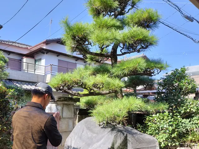 プロの職人が低木から超高木まで幅広く対応！高所作業車やツリークライミングも駆使！サービスの画像