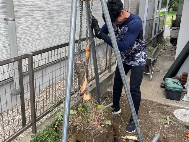 【まとめて割引あり】営業時間外も相談OK！安心・快適の庭木お手入れサービスサービスの画像