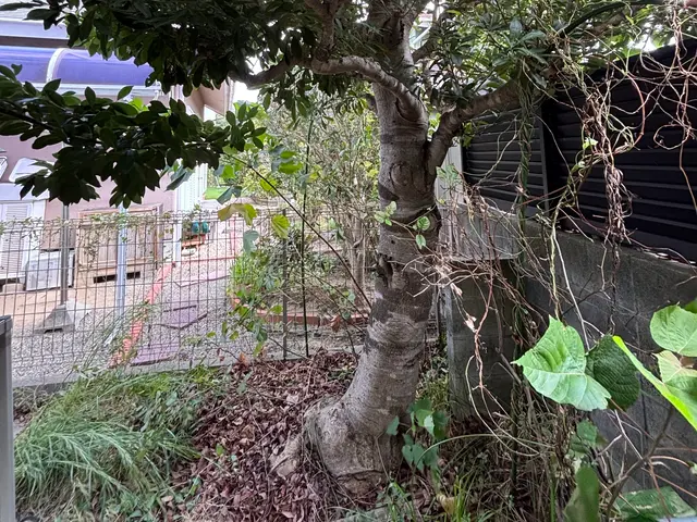 【まとめて割引あり】営業時間外も相談OK！安心・快適の庭木お手入れサービスサービスの画像