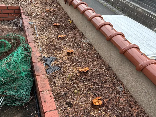 【まとめて割引あり】営業時間外も相談OK！安心・快適の庭木お手入れサービスサービスの画像