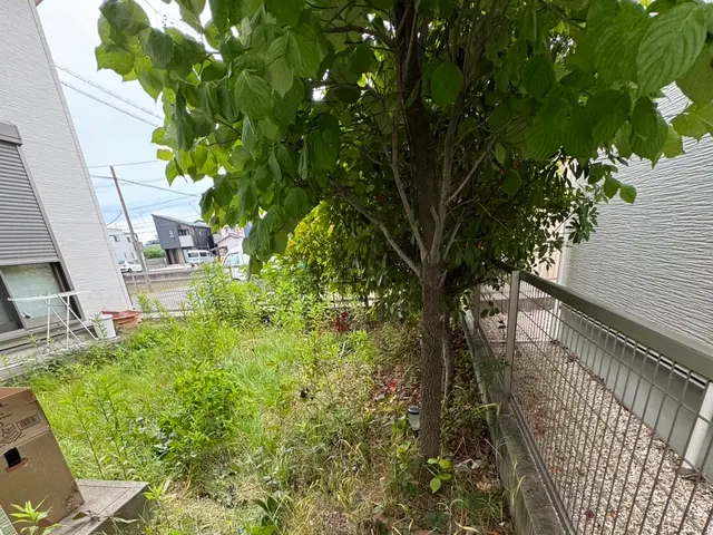 【まとめて割引あり】営業時間外も相談OK！安心・快適の庭木お手入れサービスサービスの画像