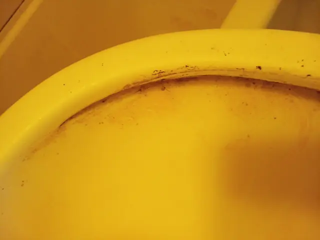 豊富な経験と知識で安心！仕上がり重視で丁寧に作業いたします！サービスの画像