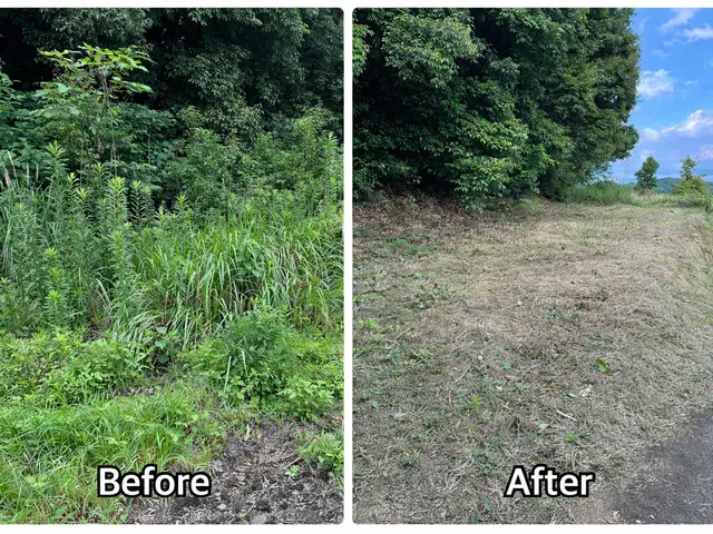 将来の管理まで考えた、丁寧で安心できる草刈り｜除草剤対応可・女性同行可サービスの画像