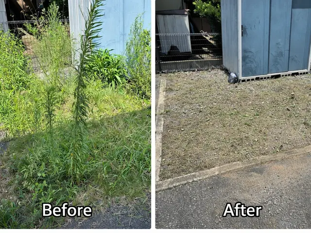 将来の管理まで考えた、丁寧で安心できる草刈り｜除草剤対応可・女性同行可サービスの画像