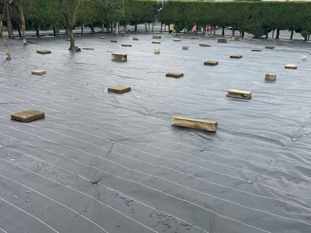 シート代込み！10㎡（約3坪）まで24800円で防草シート施工！サービスの画像