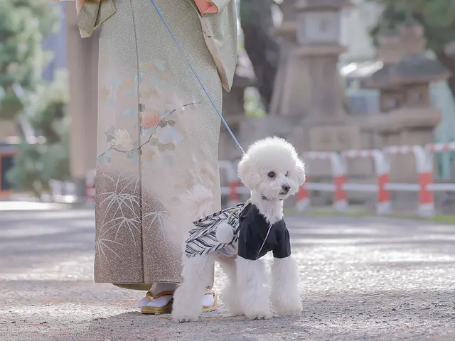 【写真家hideによる撮影】◆著名人多数撮影　◆ワンランク上のお写真を提供します