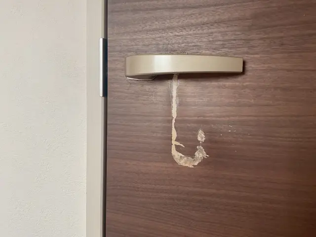 クヨクヨするのは今日でやめに！室内ドア傷や穴　色ハゲなど　なかったことにサービスの画像