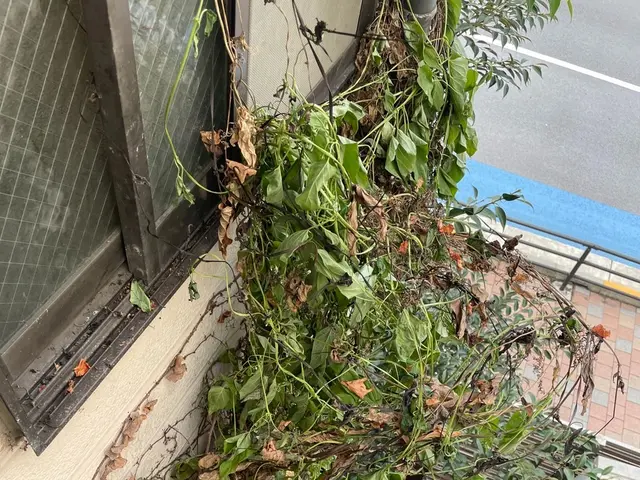 あなたの「困った！」を私たちが全力で解決します！サービスの画像