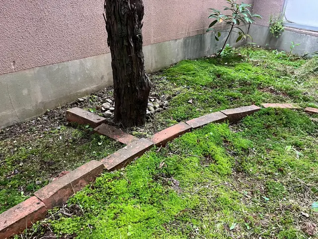 作業は丁寧で安心と高評価です、お気軽にご依頼ください！サービスの画像