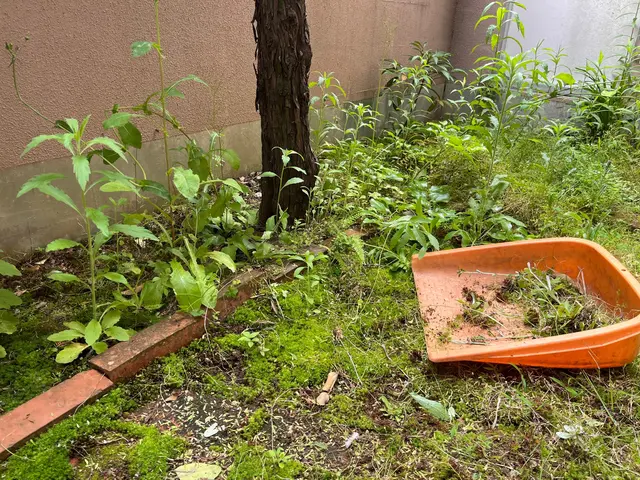 作業は丁寧で安心と高評価です、お気軽にご依頼ください！サービスの画像