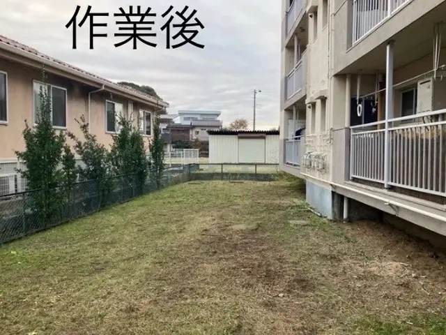☆1月11日は鏡開き☆ご自宅お庭の草作業、真心にて行いますサービスの画像