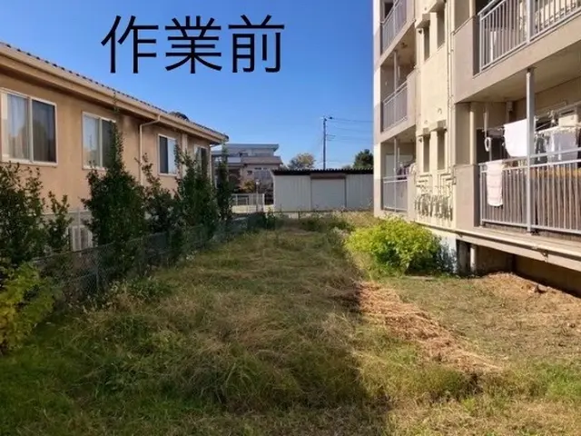 ☆1月11日は鏡開き☆ご自宅お庭の草作業、真心にて行いますサービスの画像