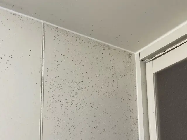 365日24時間対応可能◆作業外注一切なし☆お部屋、水回り全て作業させて頂きますサービスの画像