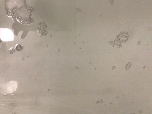 新規出店　大手での作業経験が有るスタッフが対応させて頂いておりますサービスの画像