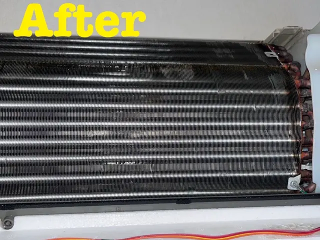 日本エアコンクリーニング協会認定作業員！！天然由来の洗剤でお子様・ペットも安心◎サービスの画像