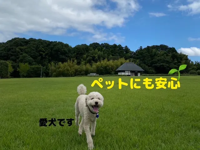 日本エアコンクリーニング協会認定作業員！！天然由来の洗剤でお子様・ペットも安心◎サービスの画像