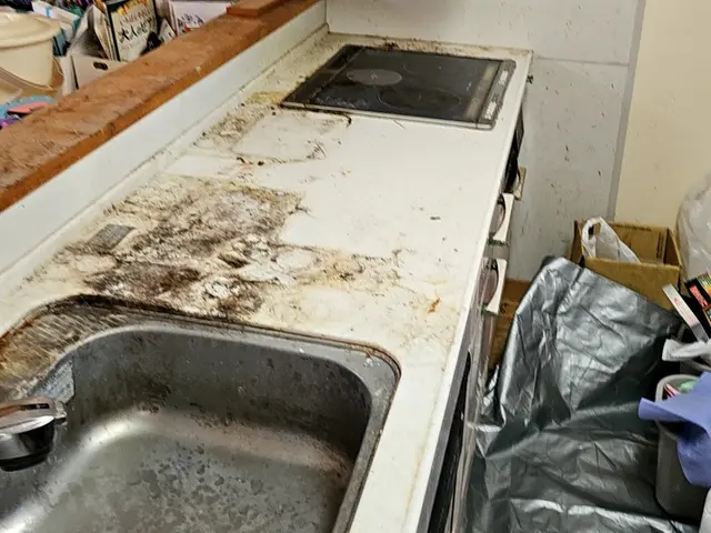 【お得セット】水回り5点まとめて徹底クリーニングサービスの画像