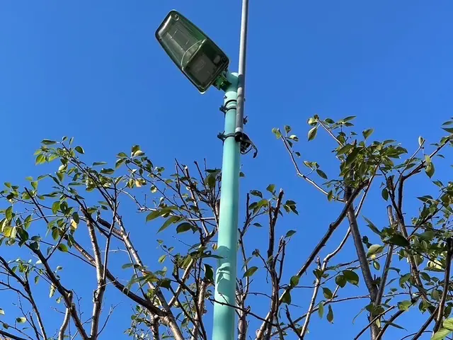 24時間対応！庭木剪定100件以上！丁寧な剪定でお庭の最高の空間をお届け！サービスの画像