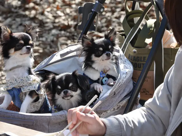◆店長の私がお伺いします◆営業時間外もご要望お聞きします◆親切丁寧！