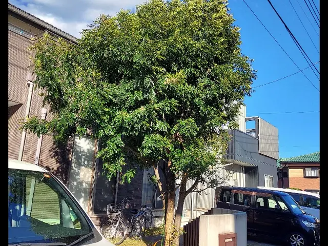 【1級造園施工管理技士】大きな木から小さな木まで・どんな木サービスの画像