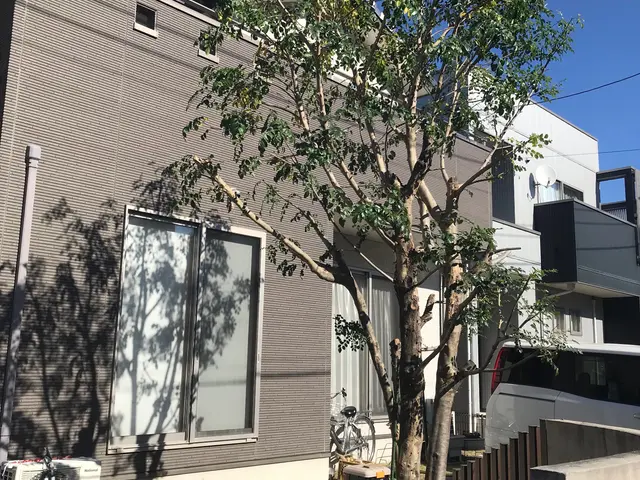 【1級造園施工管理技士】大きな木から小さな木まで・どんな木サービスの画像