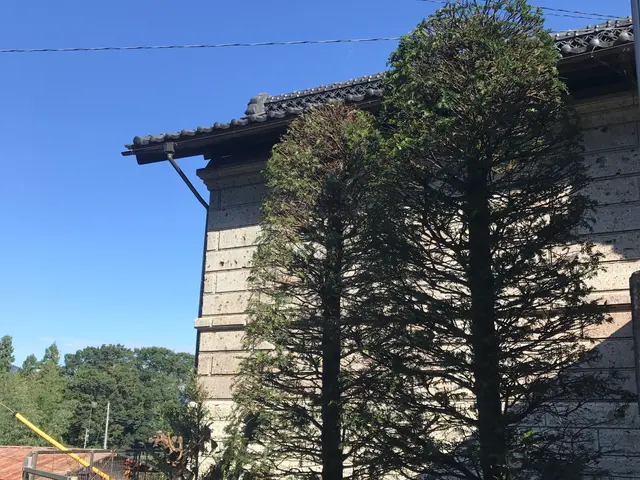 【1級造園施工管理技士】大きな木から小さな木まで・どんな木サービスの画像