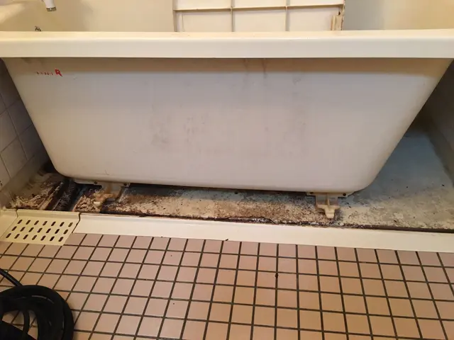 【お風呂浴室クリーニング】普段落とせない汚れも強力洗剤で除去‼︎サービスの画像