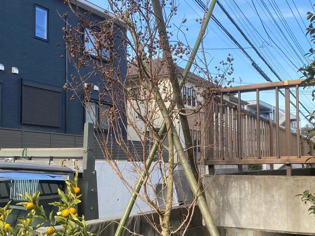 お庭の事なら何でも「サーフガーデン」にご相談下さい。私が責任を持って伺います。サービスの画像