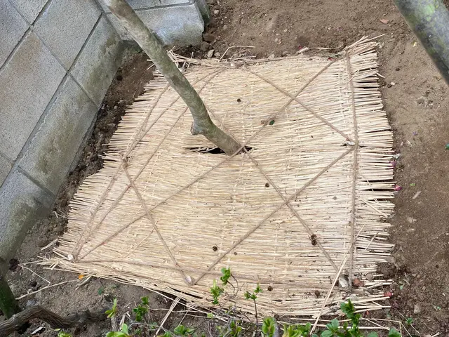 お庭の事なら何でも「サーフガーデン」にご相談下さい。私が責任を持って伺います。サービスの画像