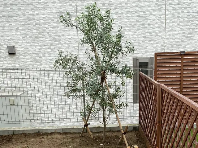 お庭の事なら何でも「サーフガーデン」にご相談下さい。私が責任を持って伺います。サービスの画像