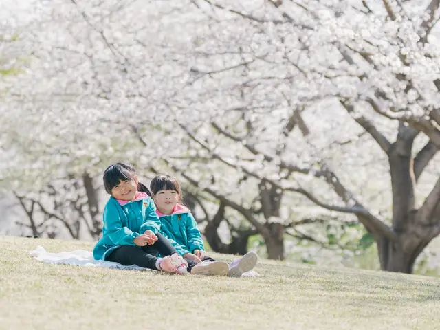 プロの技術でご満足いただけるように心を込めて撮影いたしますサービスの画像