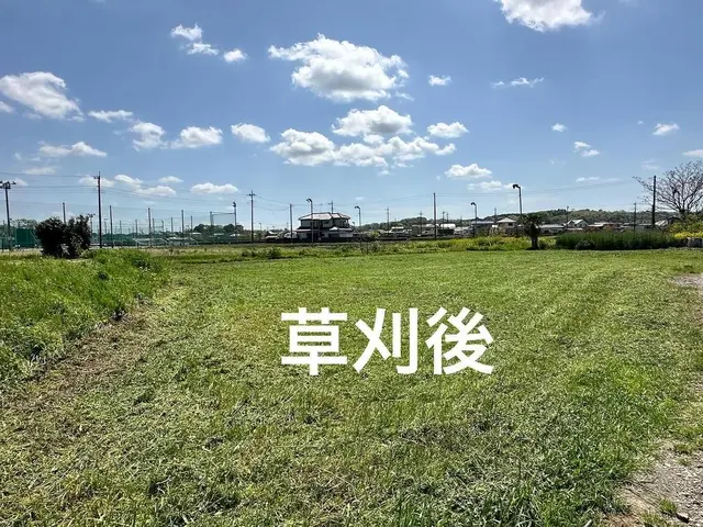 【お客様の満足度を優先】除草剤無料中サービスの画像