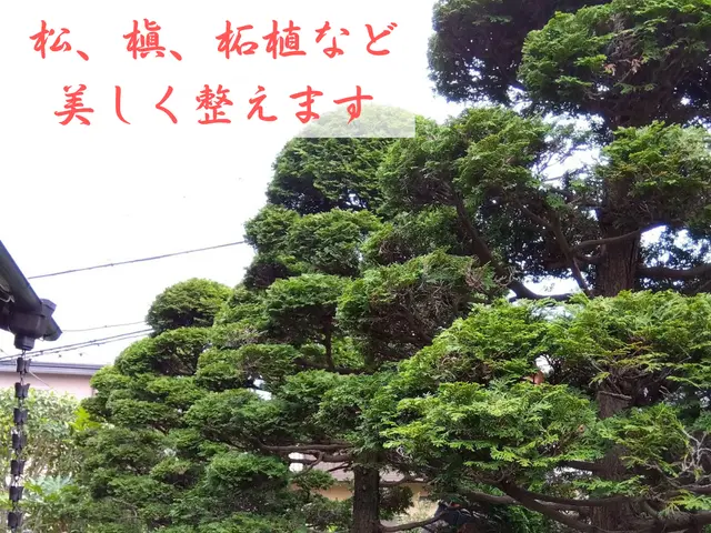 庭や家のトータルサポートサービスの画像