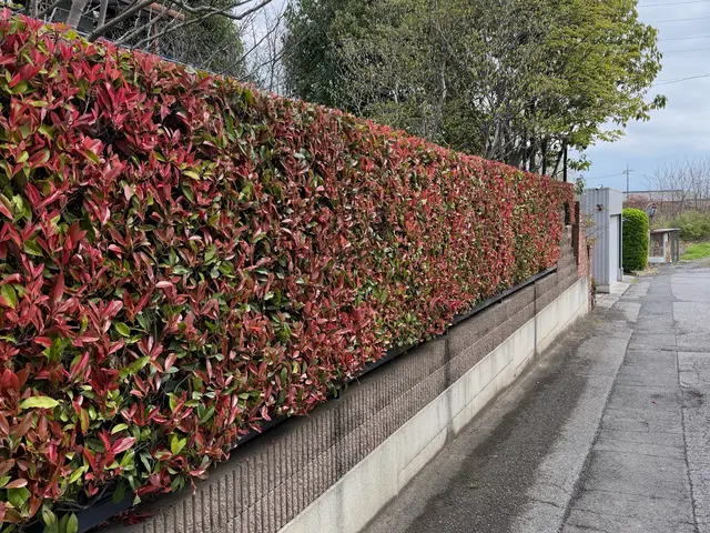 プロの技術でご満足いただけるように心を込めて作業いたしますサービスの画像