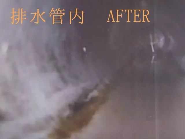 【地域密着】排水管洗浄業歴50年以上の実績と安心サービスの画像