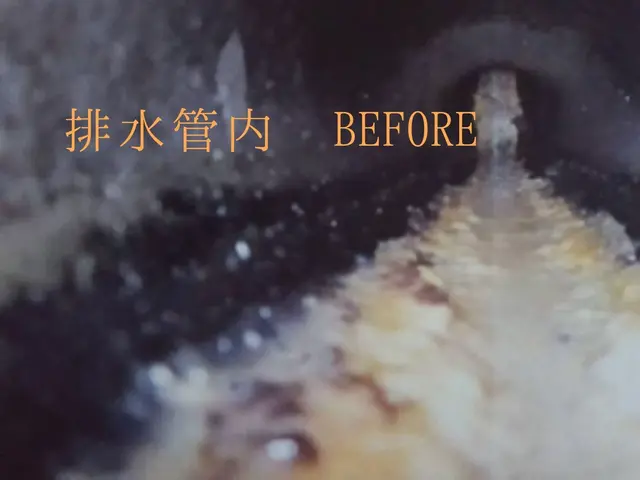 【地域密着】排水管洗浄業歴50年以上の実績と安心サービスの画像