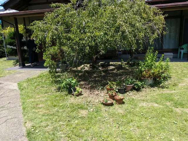 お客様のお力になります！経験と知識を活かして迅速丁寧に作業いたします！サービスの画像