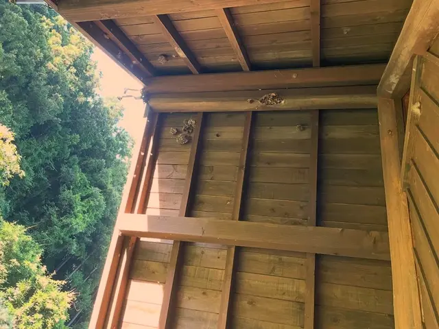 蜂の巣スピード駆除サービスの画像