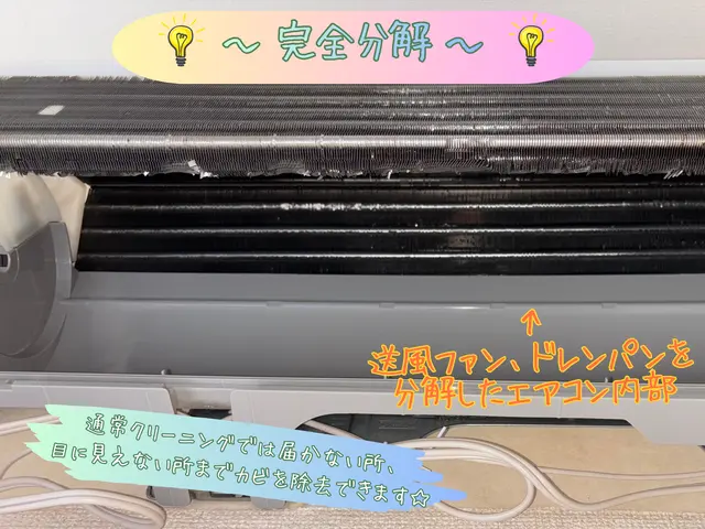 【完全分解対応店】2月限定価格♪1000台以上の実績で丁寧・高品質施工！サービスの画像