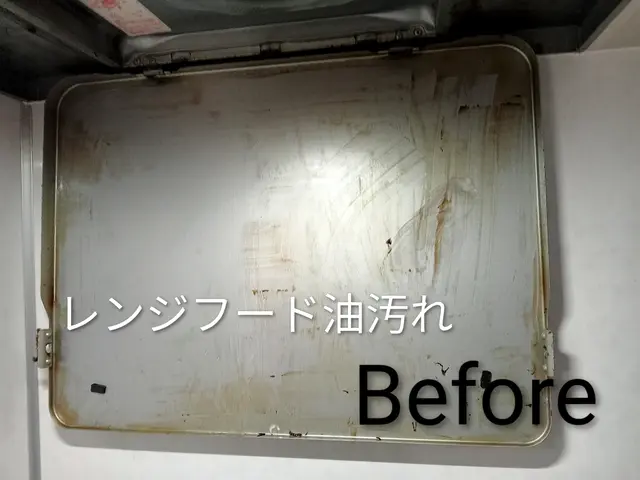 清々しい快適な空間をサポートいたします！家事代行サービスの画像