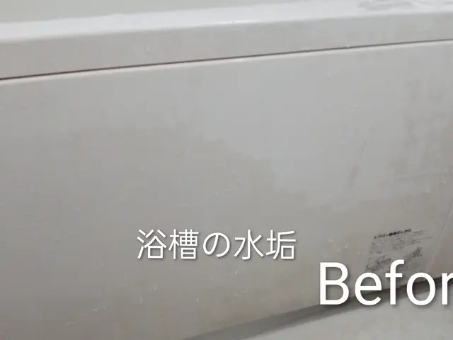 清々しい快適な空間をサポートいたします！家事代行サービスの画像