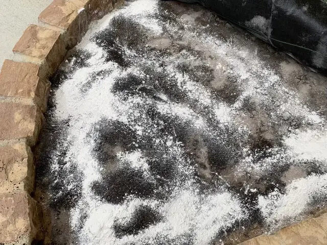 有資格者によるムカデ・ヤスデ駆除対策！もう見たくないを実現します！即日対応可能！サービスの画像