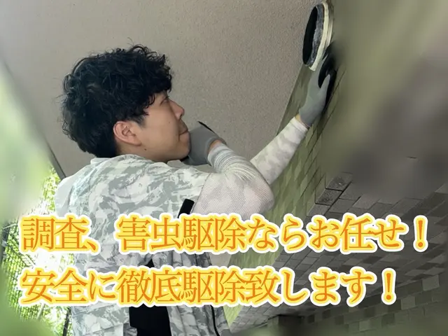 有資格者によるムカデ・ヤスデ駆除対策！もう見たくないを実現します！即日対応可能！サービスの画像