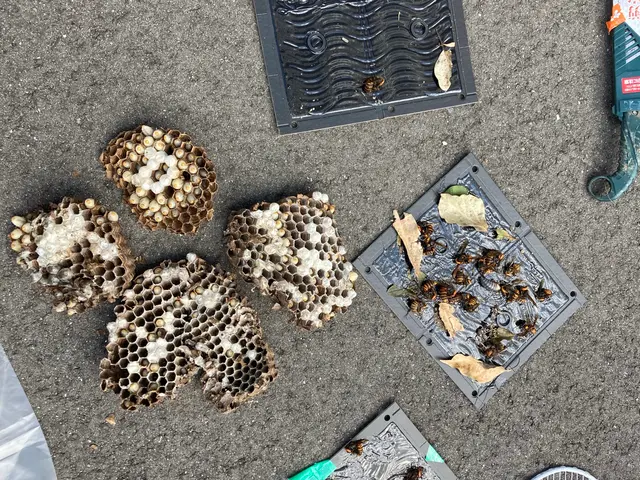 即日対応可能！！サービスの画像