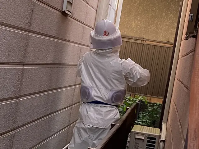 即レスで対応！7/30 全日空き有り！サービスの画像