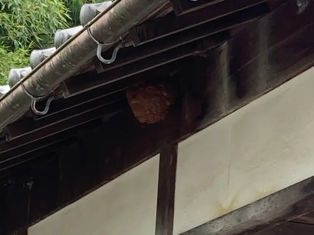 即日対応可能！！サービスの画像