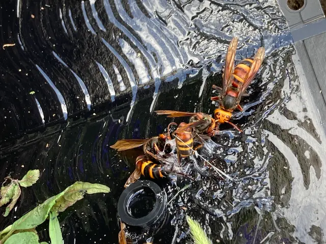 即日対応可能！！サービスの画像