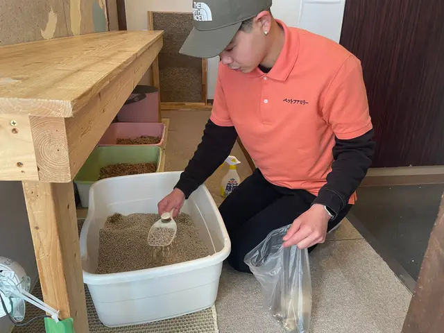 休日は猫ボラ活動をしています！猫ちゃんのお世話はお任せください！(多頭対応可)サービスの画像