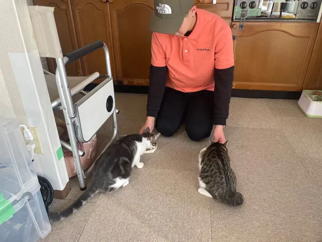 休日は猫ボラ活動をしています！猫ちゃんのお世話はお任せください！(多頭対応可)サービスの画像